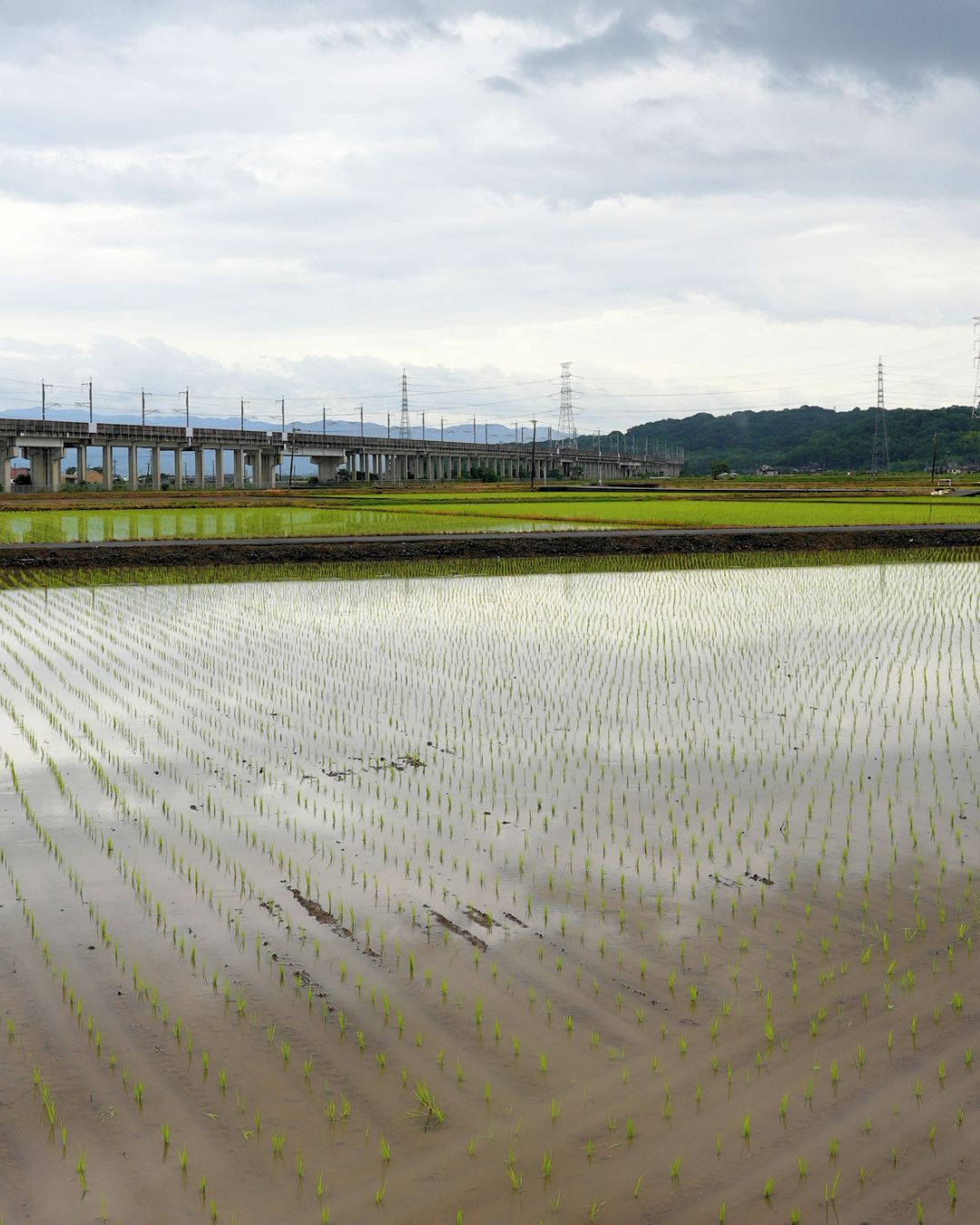 6月お便り (5)